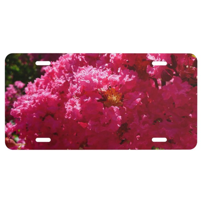 Crepe Myrtle Tree Magenta Floral License Plate (Front)