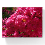 Crepe Myrtle Tree Magenta Floral Paperweight
