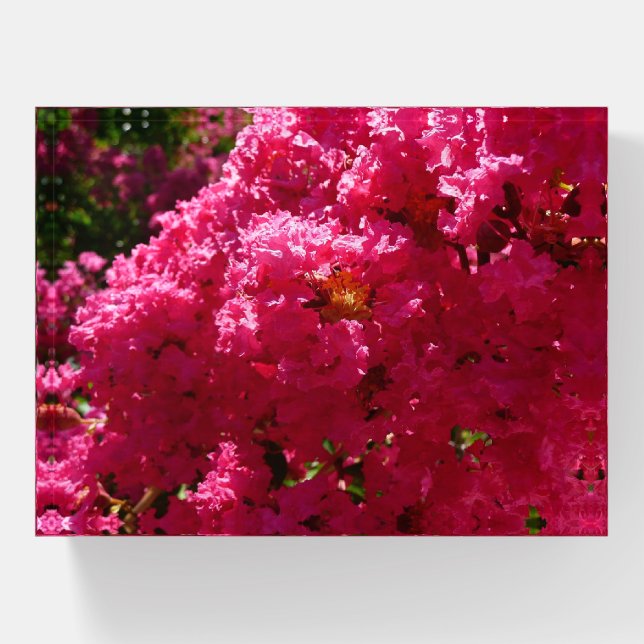 Crepe Myrtle Tree Magenta Floral Paperweight (Front)