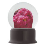 Crepe Myrtle Tree Magenta Floral Snow Globe