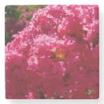 Crepe Myrtle Tree Magenta Floral Stone Coaster