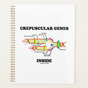 Crepuscular Genes Inside DNA Humor Planner