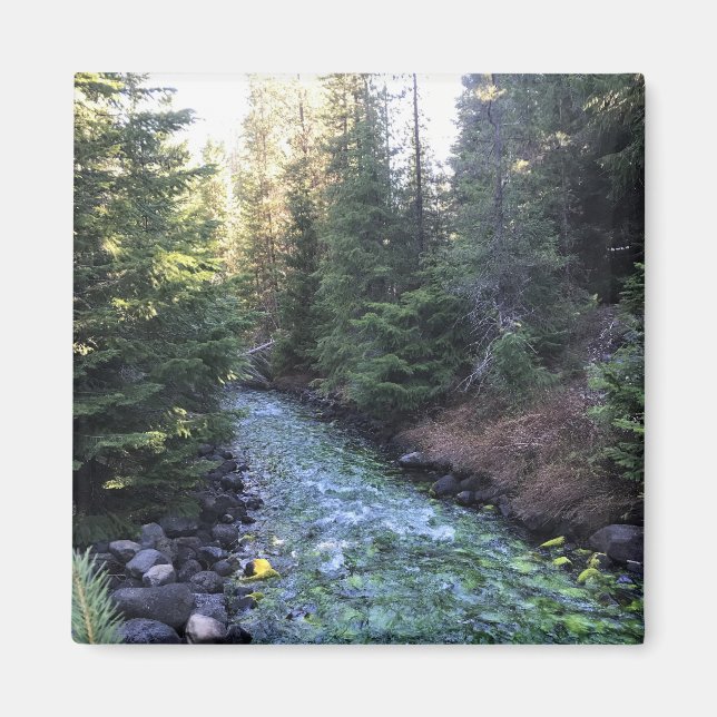 Crescent Creek, Oregon Magnet (Front)
