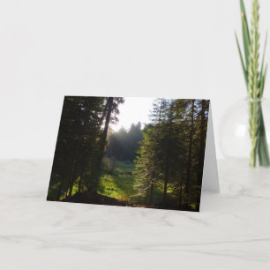 Crescent Meadow Morning at Sequoia National Park Card