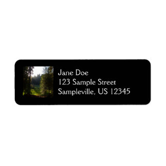 Crescent Meadow Morning at Sequoia National Park Label