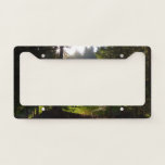 Crescent Meadow Morning at Sequoia National Park License Plate Frame