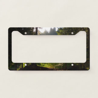 Crescent Meadow Morning at Sequoia National Park License Plate Frame