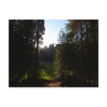 Crescent Meadow Morning at Sequoia National Park Postcard