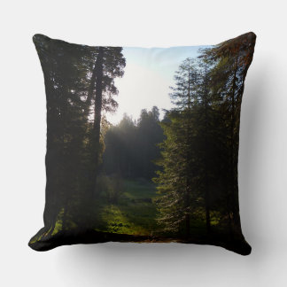 Crescent Meadow Morning at Sequoia National Park Throw Pillow