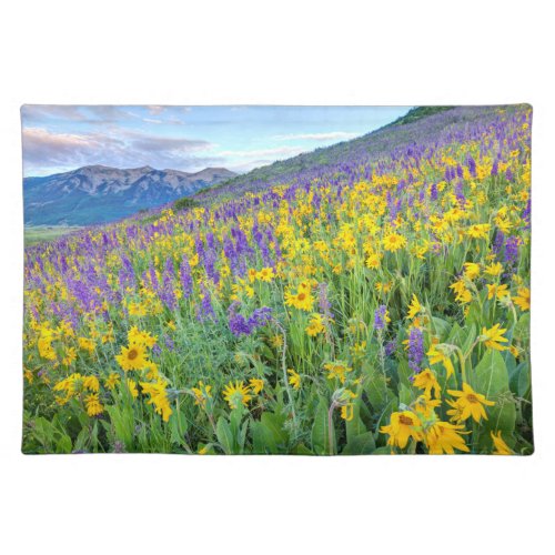 Crested Butte Colorado Cloth Placemat