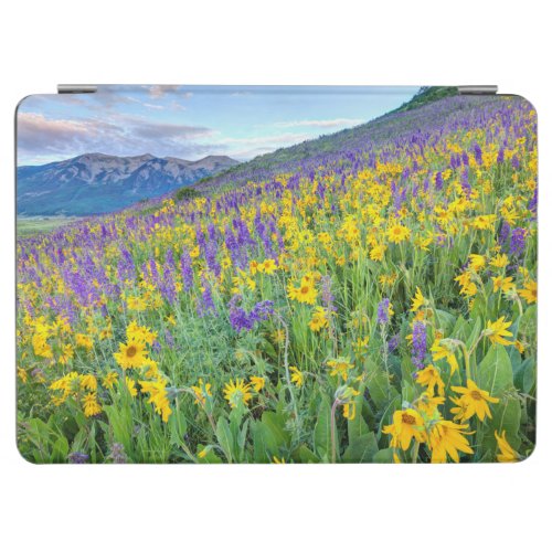 Crested Butte Colorado iPad Air Cover