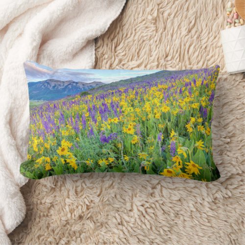 Crested Butte Colorado Lumbar Pillow
