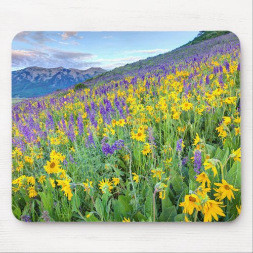 Crested Butte Colorado Mouse Pad