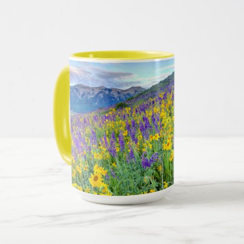 Crested Butte Colorado Mug