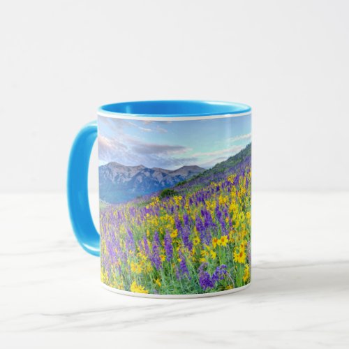 Crested Butte Colorado Mug