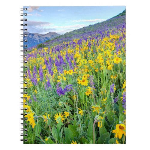 Crested Butte Colorado Notebook