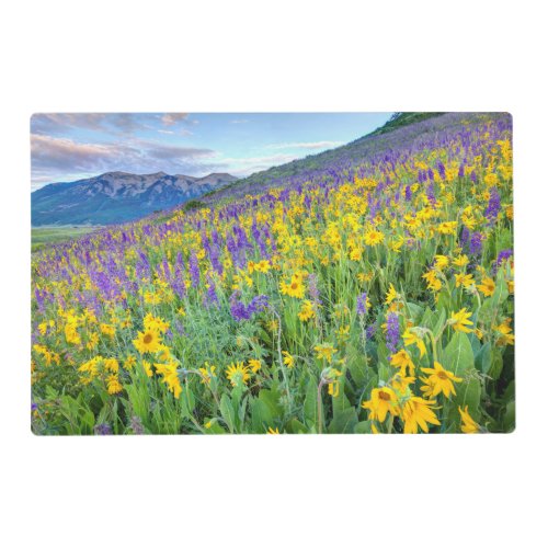 Crested Butte Colorado Placemat