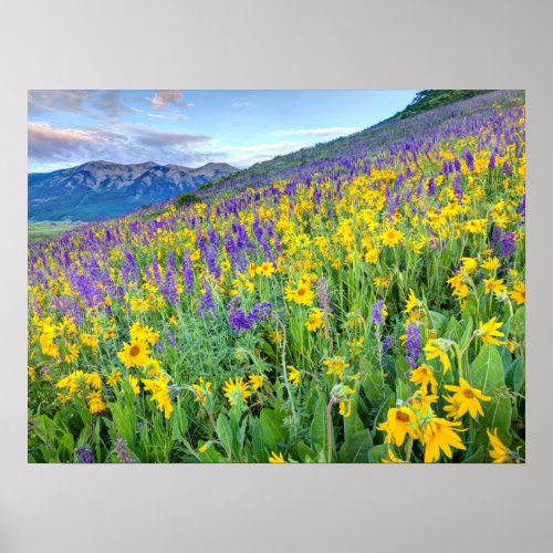 Crested Butte Colorado Poster