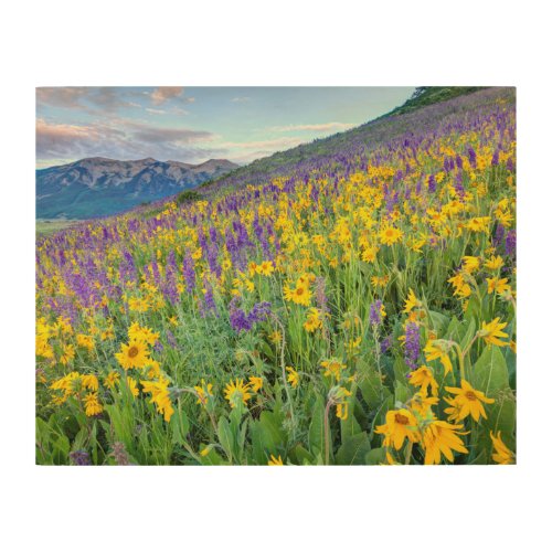 Crested Butte Colorado Wood Wall Art