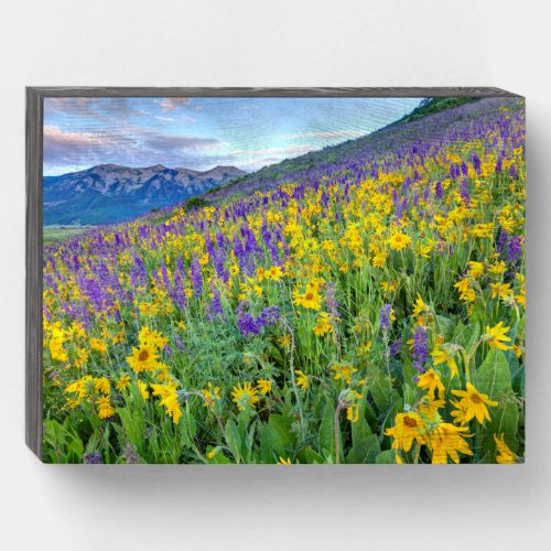 Crested Butte Colorado Wooden Box Sign