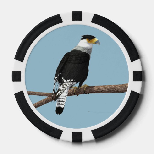 Crested Caracara Clay Poker Chip (Front)
