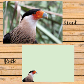 Crested Caracara Flat Card by CatsEyeViewGifts at Zazzle
