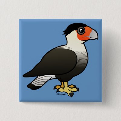 Crested Caracara Pinback Button