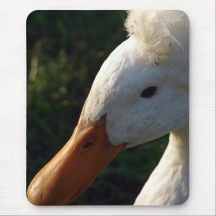 Crested Duck Mouse Pad