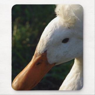 Crested Duck Mouse Pad