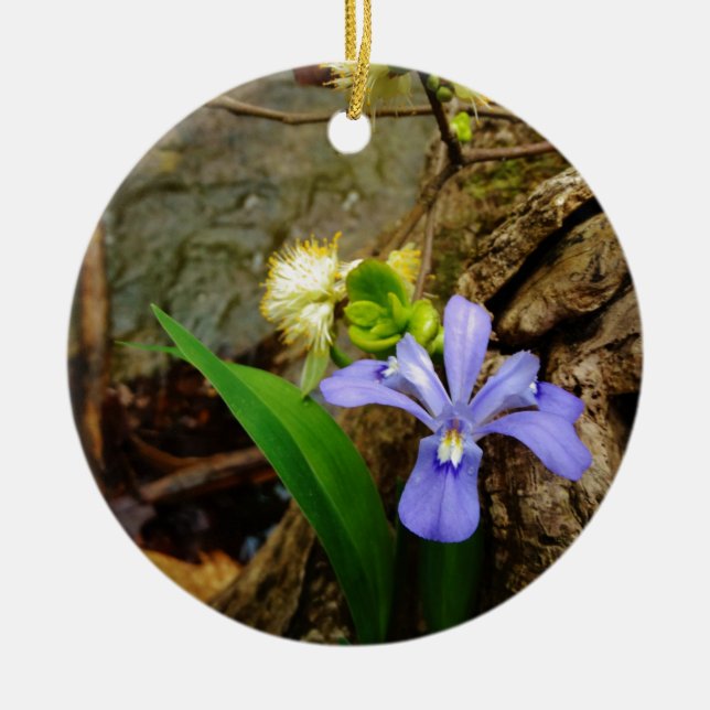 Crested Dwarf Iris blue purple white flower Ceramic Ornament (Front)