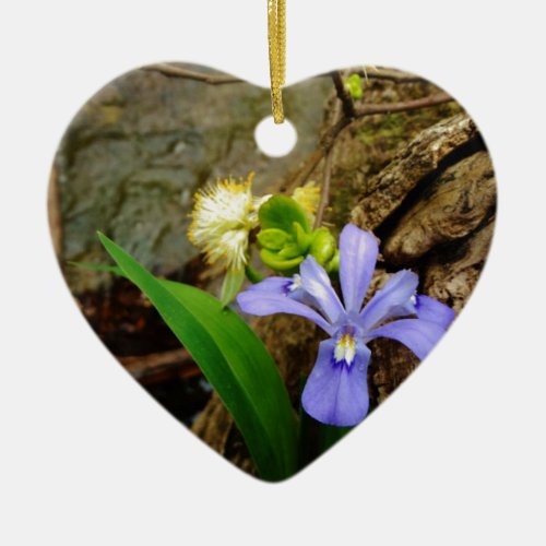 Crested Dwarf Iris blue purple white flower Ceramic Ornament
