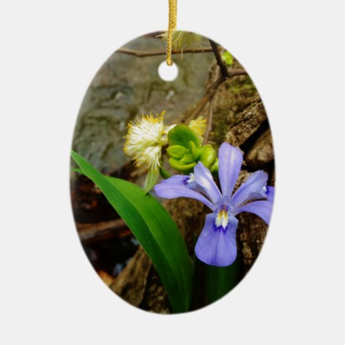 Crested Dwarf Iris blue purple white flower Ceramic Ornament