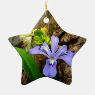 Crested Dwarf Iris blue purple white flower Ceramic Ornament
