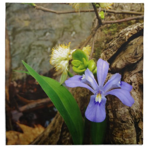 Crested Dwarf Iris blue purple white flower Cloth Napkin