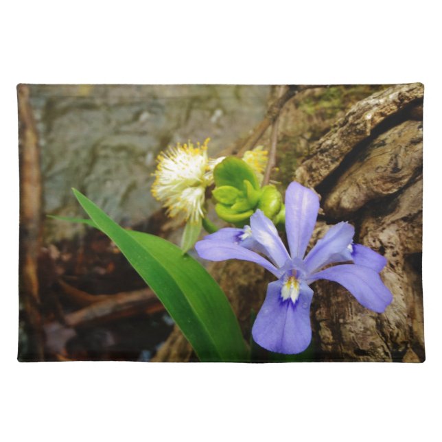 Crested Dwarf Iris blue purple white flower Cloth Placemat (Front)