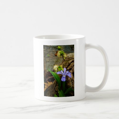 Crested Dwarf Iris blue purple white flower Coffee Mug
