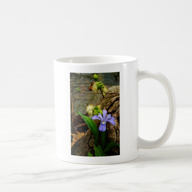 Crested Dwarf Iris blue purple white flower Coffee Mug (Right)