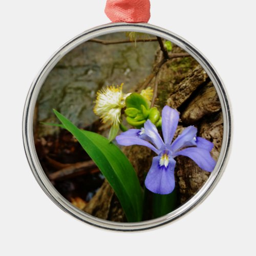Crested Dwarf Iris blue purple white flower Metal Ornament