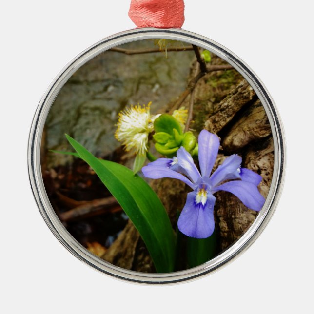 Crested Dwarf Iris blue purple white flower Metal Ornament (Front)