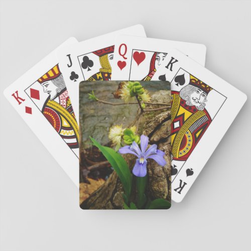 Crested Dwarf Iris blue purple white flower Playing Cards