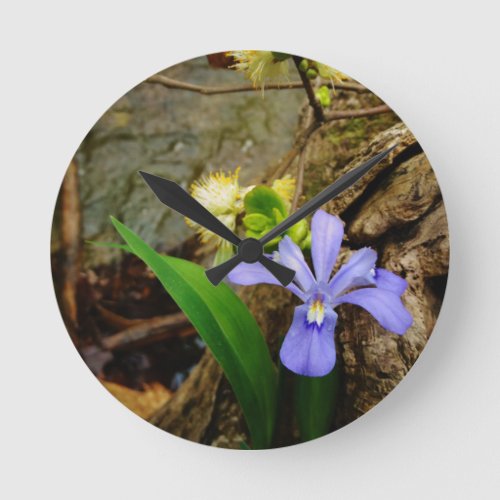 Crested Dwarf Iris blue purple white flower Round Clock