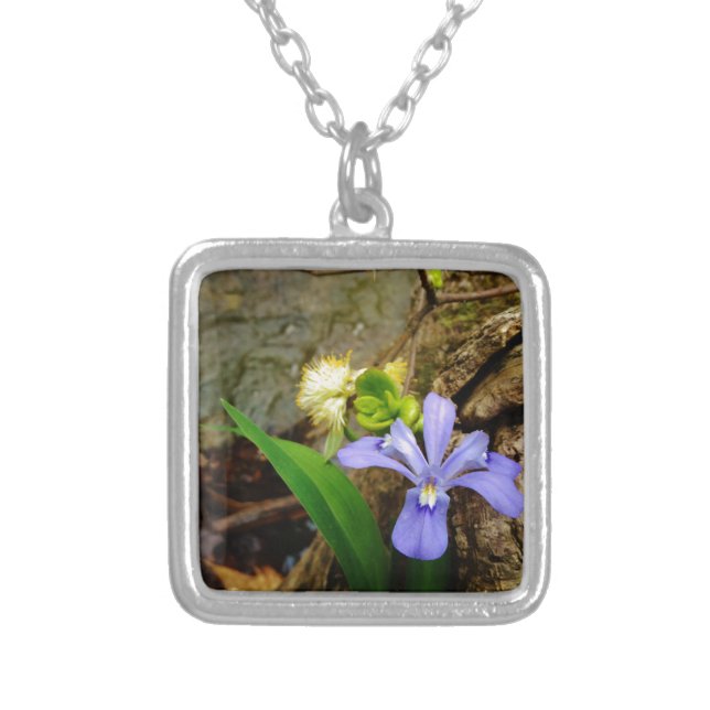 Crested Dwarf Iris blue purple white flower Silver Plated Necklace (Front)