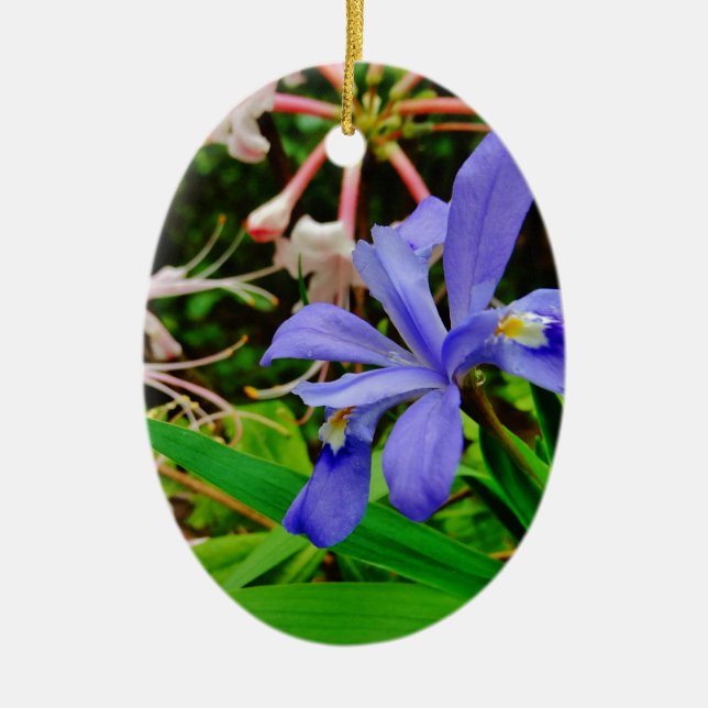 Crested Dwarf Iris Ceramic Ornament (Front)
