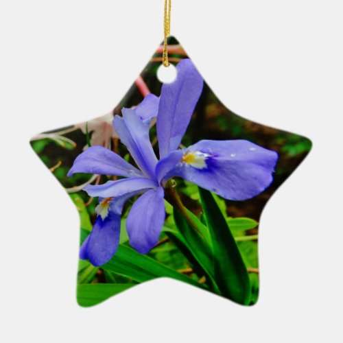 Crested Dwarf Iris Ceramic Ornament