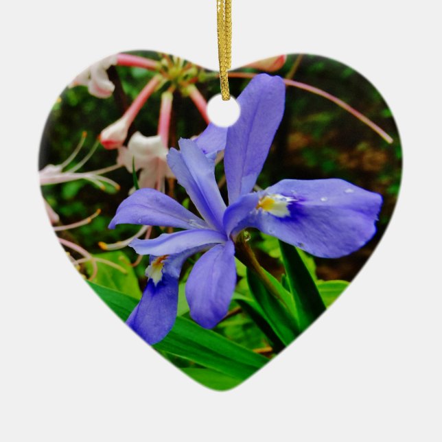 Crested Dwarf Iris Ceramic Ornament (Front)