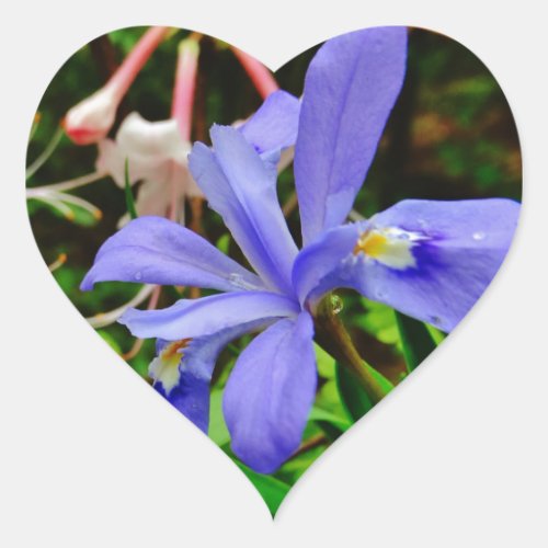 Crested Dwarf Iris Heart Sticker