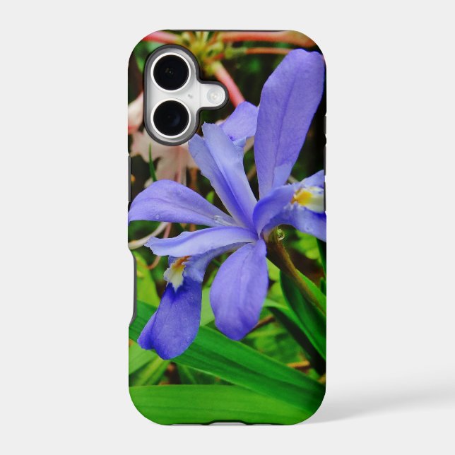 Crested Dwarf Iris Iphone Case (Back)