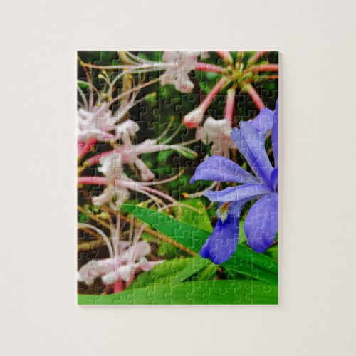 Crested Dwarf Iris Jigsaw Puzzle