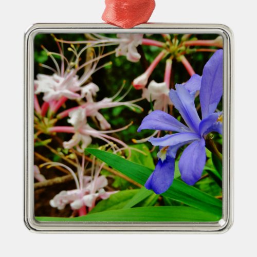 Crested Dwarf Iris Metal Ornament