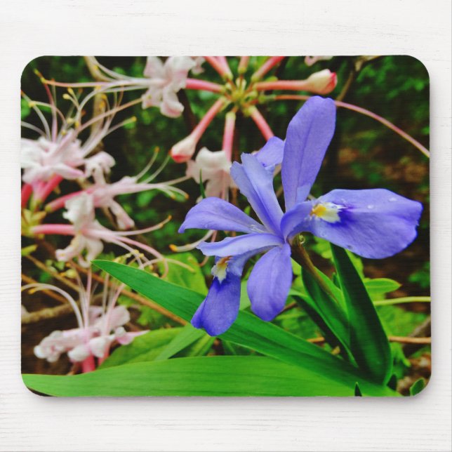 Crested Dwarf Iris Mouse Pad (Front)